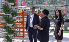 之所以确定“课程思政”为支部的党